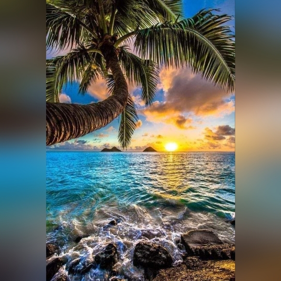 Meet your Posher, Thrifty Label Lover - Picture 1 of 1